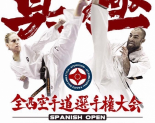 Пули открытого Чемпионата Испании по киокушинкай