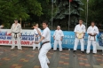 Ростовская организация киокушинкай - показательные на День защиты детей, 1 июня 2013 года