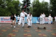 Ростовская организация киокушинкай - показательные на День защиты детей, 1 июня 2013 года