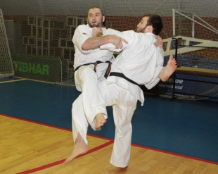 Хитоши Кияма и Тариел Николеишвили дали мастер-классы