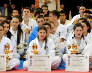 Результаты Первенства и Чемпионата Европы по киокушинкай