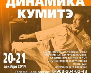 Семинар Макса Дедика "Динамика кумитэ"