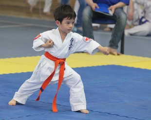 Открытое Первенство и Чемпионат Ростова-на-Дону