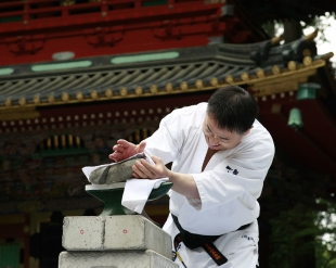 Показательные выступления у Храма Никко Тосё-гу