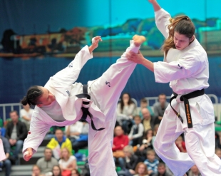 Чемпионат России по киокушинкай 2015 (фототчет полуфиналы)