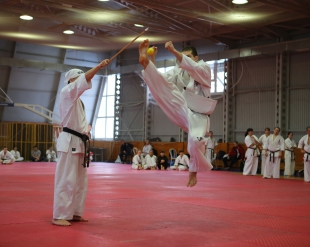 Кю и дан-тест Зимней Школы РНФКК 2016