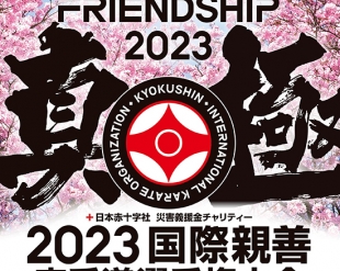 Официальные пули международных соревнований 2023 International Karate Friendship