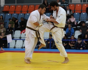 Кубок России 2012
