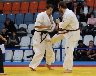 Кубок России 2012