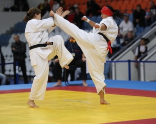 Кубок России 2012