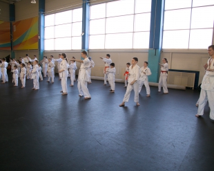 Сборы под руководством шихана Александра Ипатова в Казани 2017