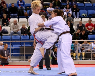 18-й Чемпионат Европы в абсолютной весовой категории