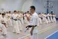 Летняя Школа РНФКК 2025 - 4 часть