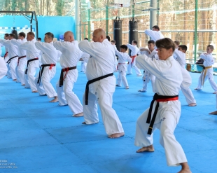 Летняя Школа РНФКК 2025 - экзамен