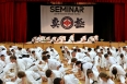 Семинар с Канчо Мацуи. Asia Open Cup 2026